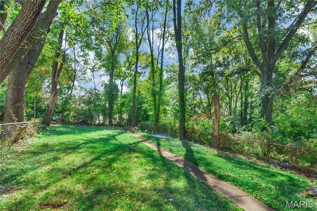 5316 Janet Ave, Jennings, MO 63136 - view of yard