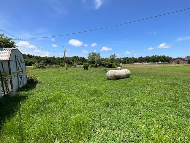 321 Walker St, Licking, MO 65542 - view of green lawn with a shed