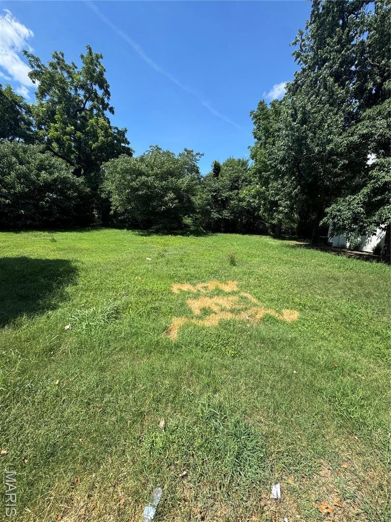 606 Henderson, Kennett, MO 63857 - photo 2