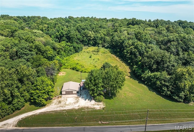 388 Spankey Rd, Eldred, IL 62027 - photo 4