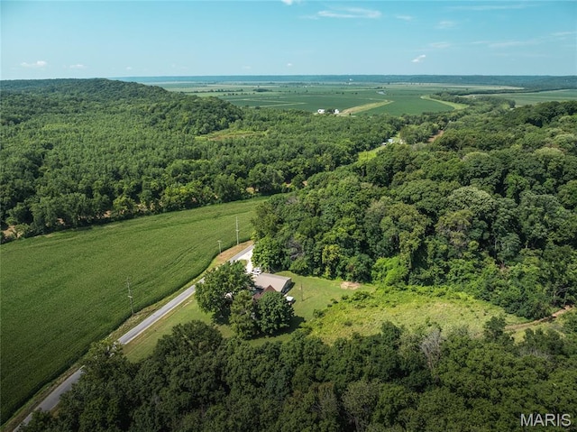 388 Spankey Rd, Eldred, IL 62027 - photo 6