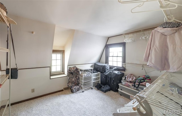 388 Spankey Rd, Eldred, IL 62027 - photo 22
