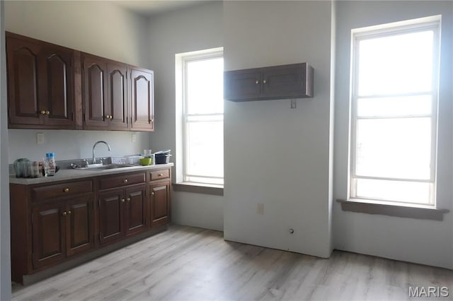 3632 Cook Ave, Saint Louis, MO 63113 - kitchen featuring light wood-type flooring, dark brown cabinetry, and light countertops