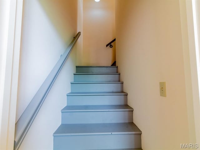 2409 Menard St, Saint Louis, MO 63104 - photo 22