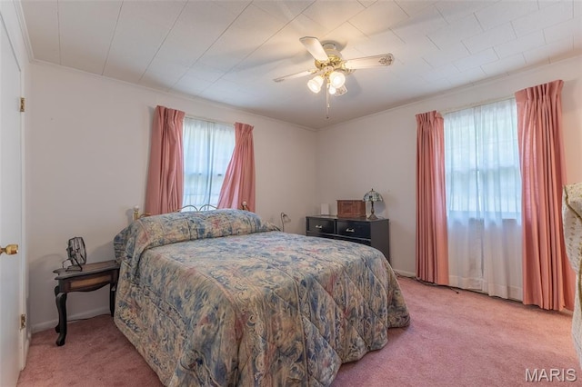 402 N Lafayette St, Doniphan, MO 63935 - photo 14