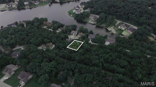 10153 Lake Ridge Dr, Hillsboro, MO 63050