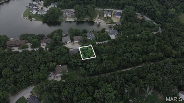 10153 Lake Ridge Dr, Hillsboro, MO 63050