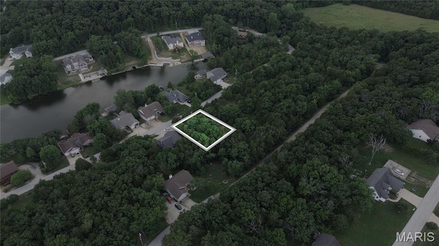 10153 Lake Ridge Dr, Hillsboro, MO 63050