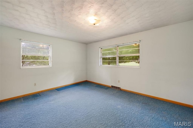 10399 Bust Dr, Potosi, MO 63664 - photo 10