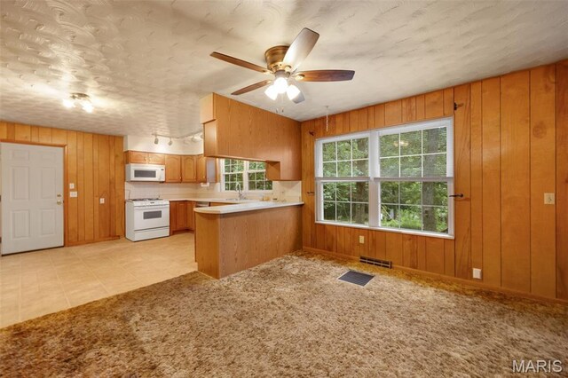 10399 Bust Dr, Potosi, MO 63664 - photo 19