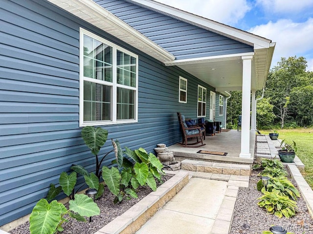 386 County Road 205, Ironton, MO 63650 - photo 4