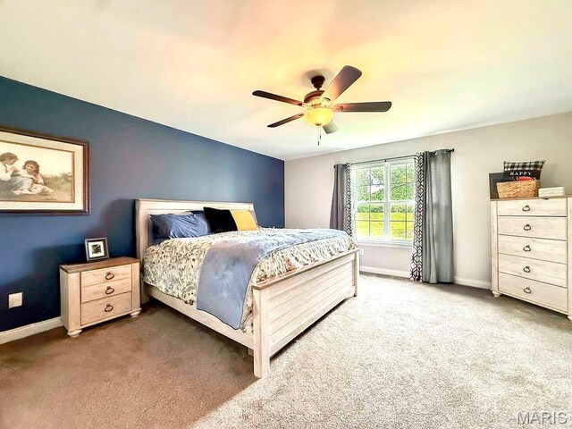 386 County Road 205, Ironton, MO 63650 - photo 15