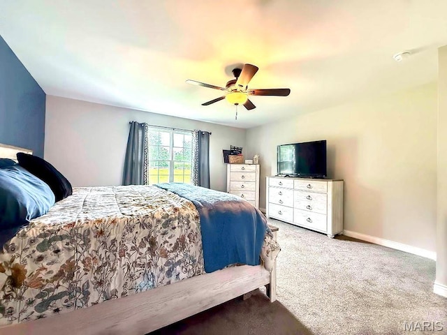 386 County Road 205, Ironton, MO 63650 - photo 16