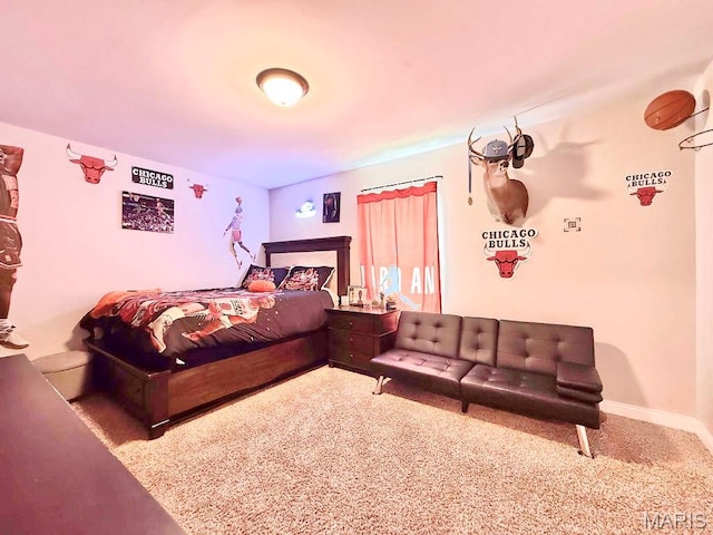 386 County Road 205, Ironton, MO 63650 - photo 24