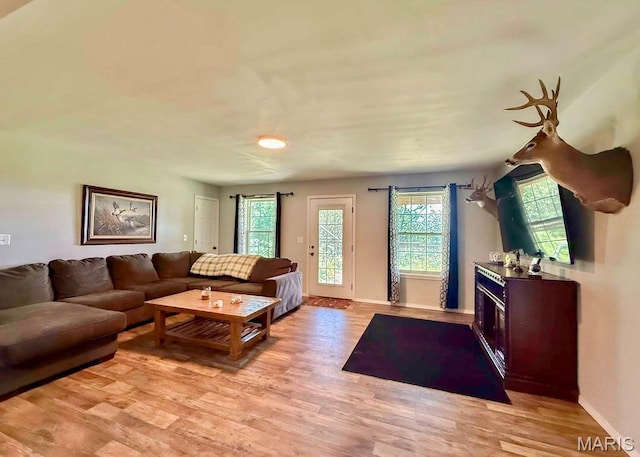 386 County Road 205, Ironton, MO 63650 - photo 30