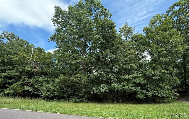 386 County Road 205, Ironton, MO 63650 - photo 46