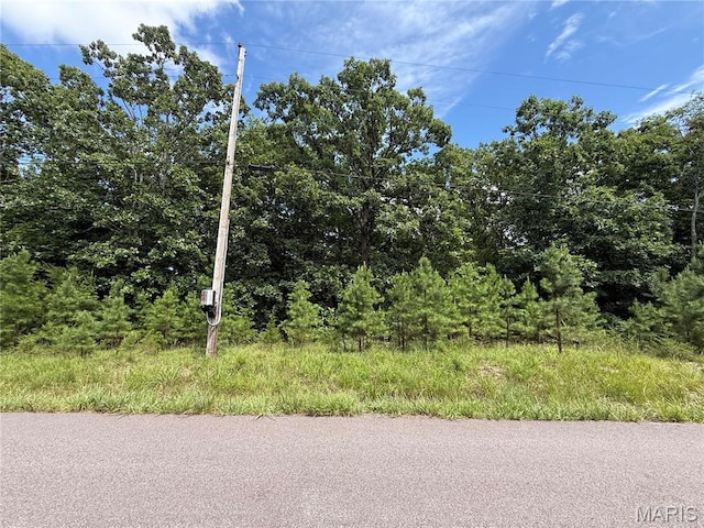 386 County Road 205, Ironton, MO 63650 - photo 47