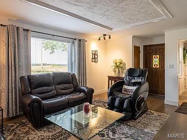 4840 S Point Rd, Washington, MO 63090 - living area with crown molding, dark wood-style flooring, and a textured ceiling