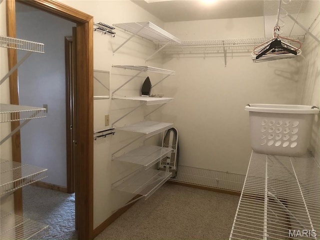 4840 S Point Rd, Washington, MO 63090 - spacious closet with carpet