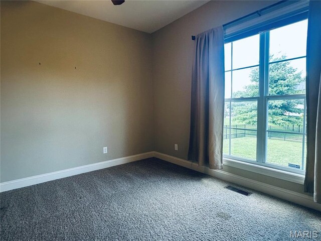 3348 Drysdale Ct, Edwardsville, IL 62025 - photo 63