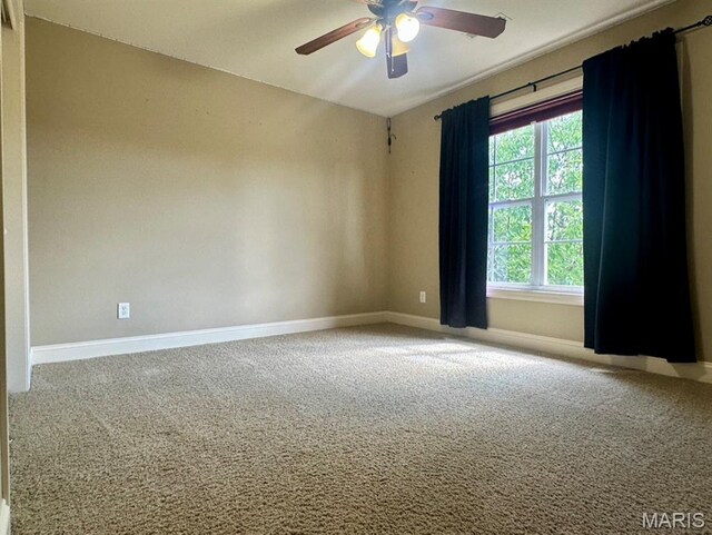 3348 Drysdale Ct, Edwardsville, IL 62025 - photo 64