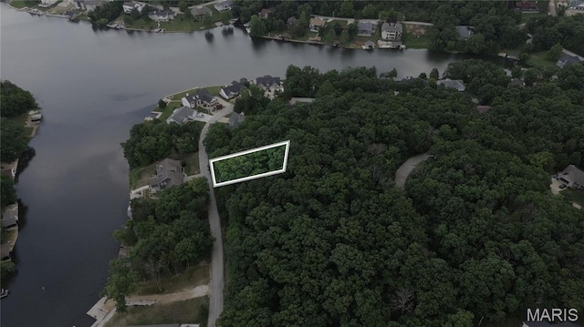 10219 Lake Ridge Dr, Hillsboro, MO 63050