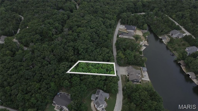 10219 Lake Ridge Dr, Hillsboro, MO 63050