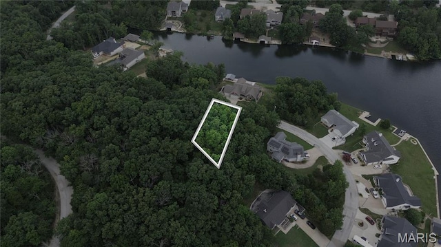 10219 Lake Ridge Dr, Hillsboro, MO 63050
