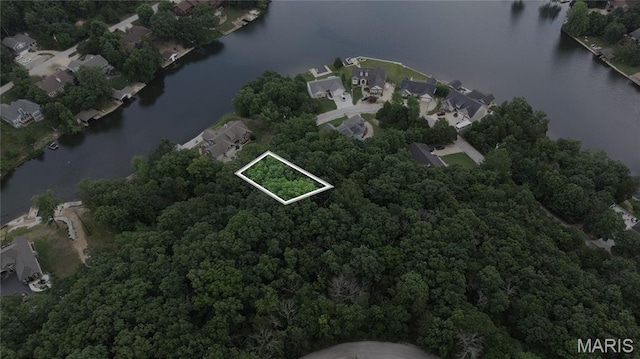10219 Lake Ridge Dr, Hillsboro, MO 63050