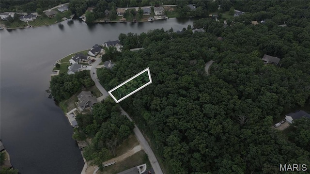 10219 Lake Ridge Dr, Hillsboro, MO 63050