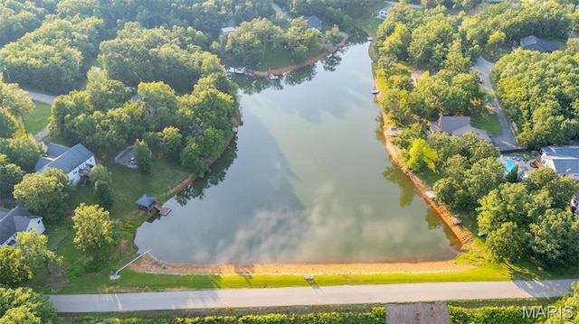 441 Rue Martel, Bonne Terre, MO 63628 - bird's eye view of a nearby body of water