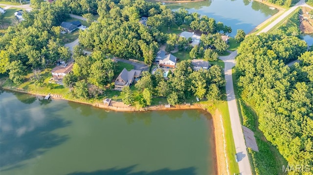 441 Rue Martel, Bonne Terre, MO 63628 - aerial overview of property's location featuring a large body of water