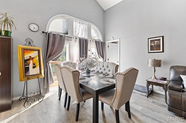 441 Rue Martel, Bonne Terre, MO 63628 - dining room with light wood-type flooring and high vaulted ceiling