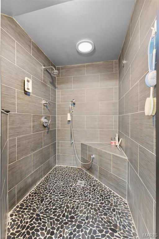 441 Rue Martel, Bonne Terre, MO 63628 - full bath with a tile shower and stone flooring