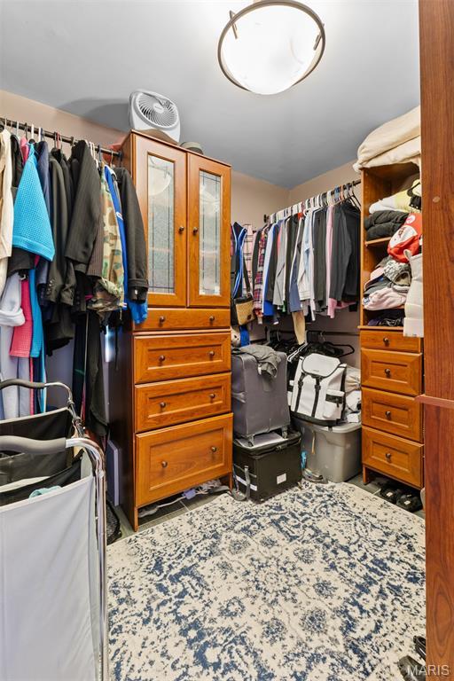 441 Rue Martel, Bonne Terre, MO 63628 - view of walk in closet