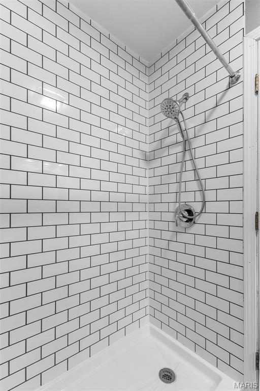 441 Rue Martel, Bonne Terre, MO 63628 - bathroom with a shower stall