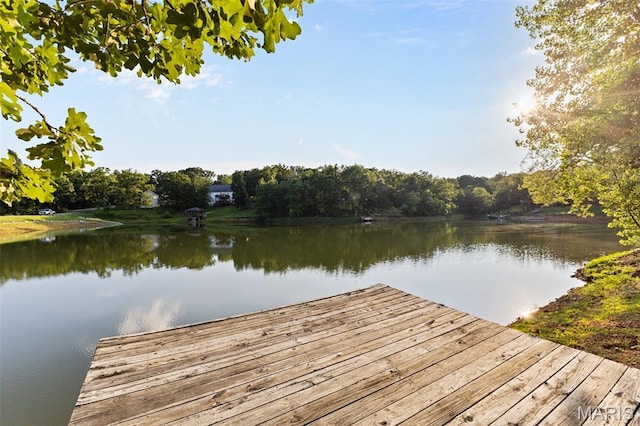 441 Rue Martel, Bonne Terre, MO 63628 - dock area with a water view