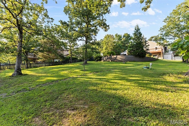 441 Rue Martel, Bonne Terre, MO 63628 - view of yard