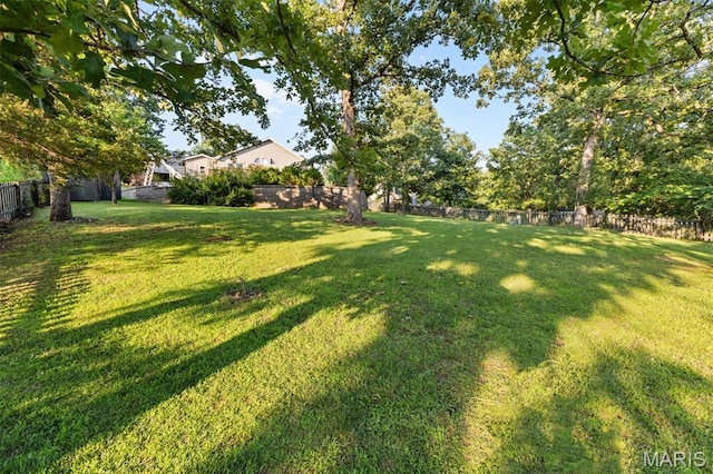 441 Rue Martel, Bonne Terre, MO 63628 - view of fenced backyard