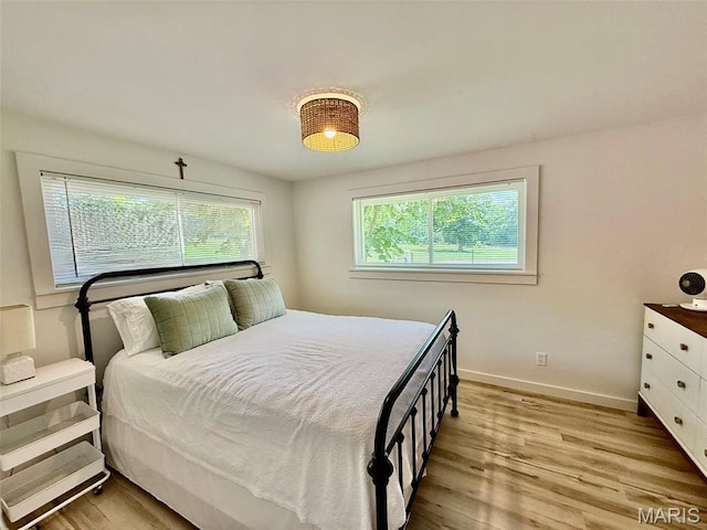 10107 Cannon Mines Rd, Cadet, MO 63630 - bedroom with multiple windows and light wood-style flooring