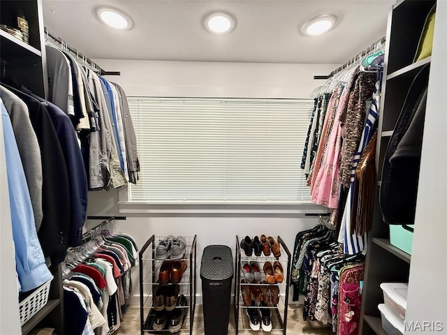 10107 Cannon Mines Rd, Cadet, MO 63630 - view of walk in closet