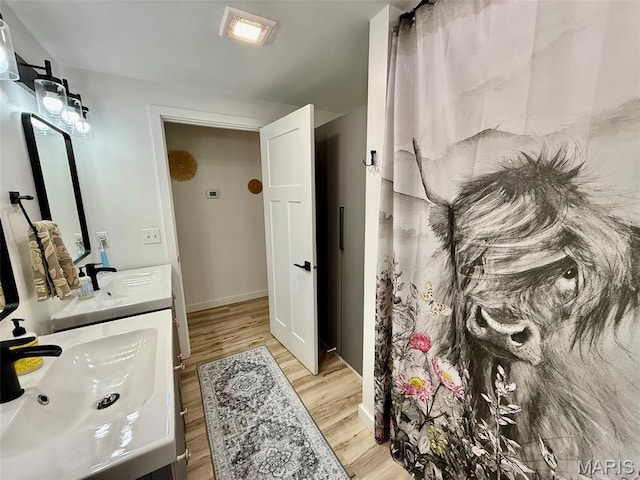 10107 Cannon Mines Rd, Cadet, MO 63630 - bathroom with wood finished floors and vanity