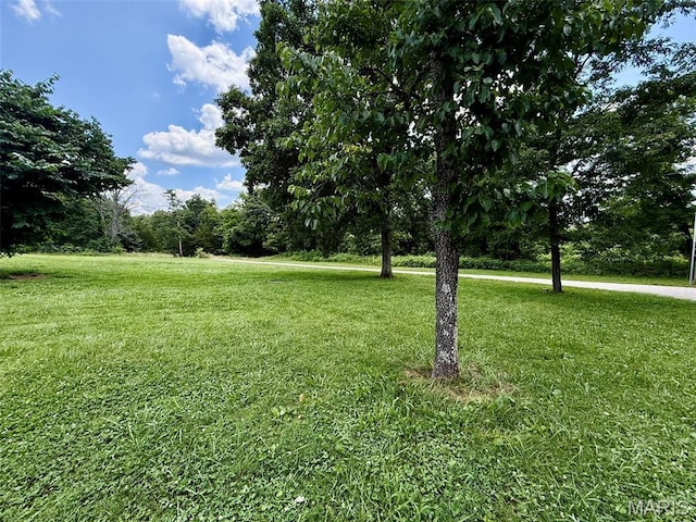 10107 Cannon Mines Rd, Cadet, MO 63630 - view of grassy yard