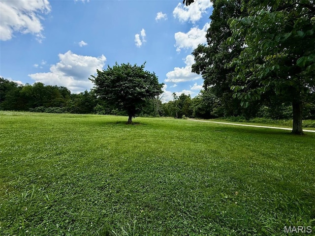 10107 Cannon Mines Rd, Cadet, MO 63630 - view of grassy yard