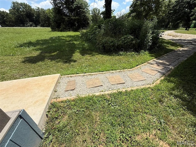 10107 Cannon Mines Rd, Cadet, MO 63630 - view of green lawn