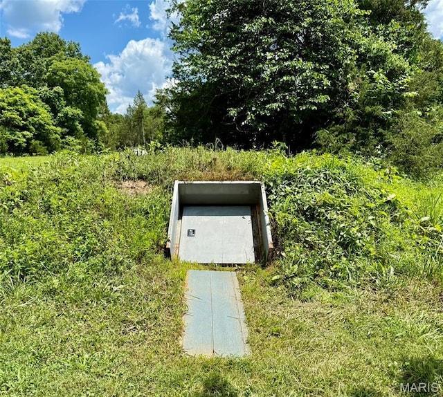 10107 Cannon Mines Rd, Cadet, MO 63630 - view of storm shelter
