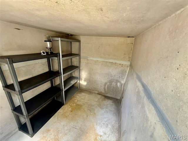 10107 Cannon Mines Rd, Cadet, MO 63630 - view of storage