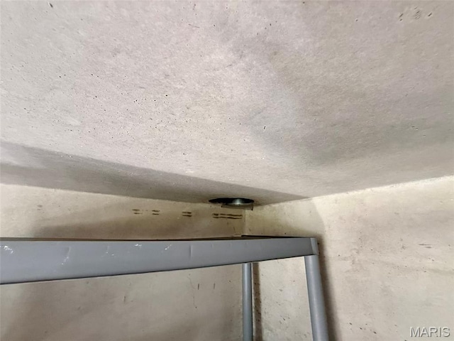 10107 Cannon Mines Rd, Cadet, MO 63630 - detailed view of a textured ceiling
