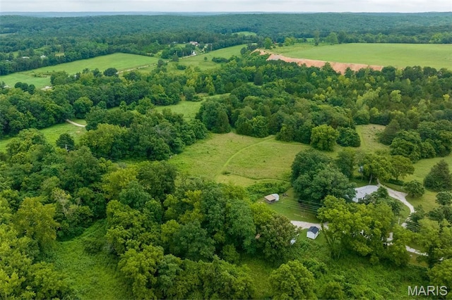 10107 Cannon Mines Rd, Cadet, MO 63630 - photo 5