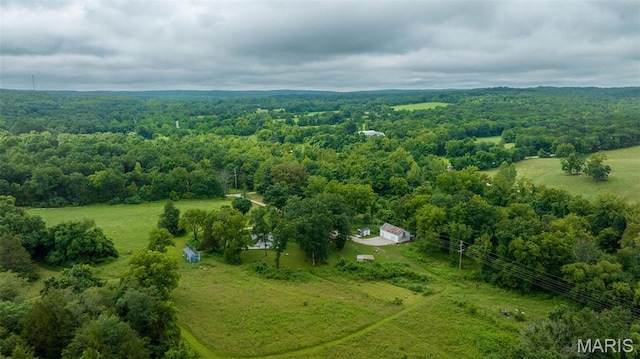 10107 Cannon Mines Rd, Cadet, MO 63630 - photo 6